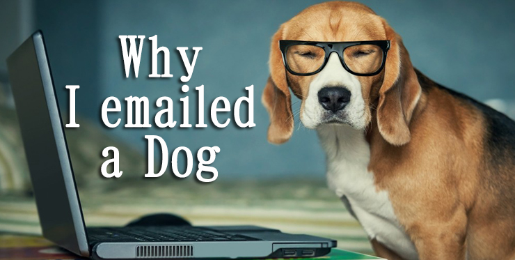 why_emailed_dog